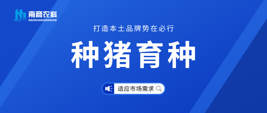 種豬育種與本土品牌建設(shè)：市場需求是重中之重